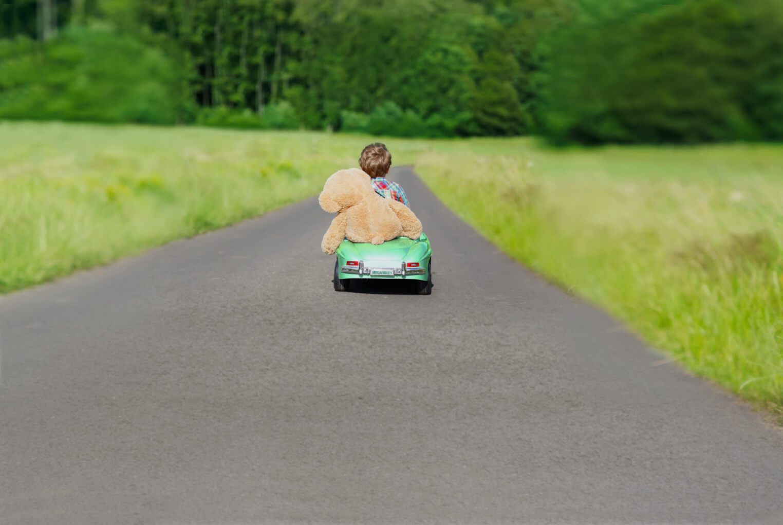 Arval Voitures d'occasion